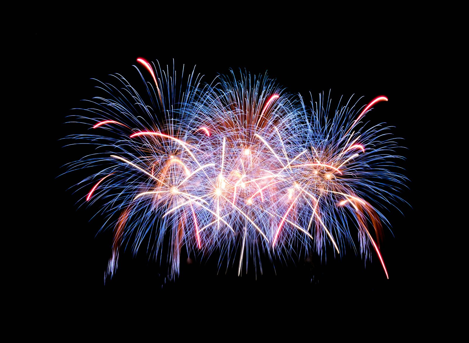 Feu d'artifice bleu et rose